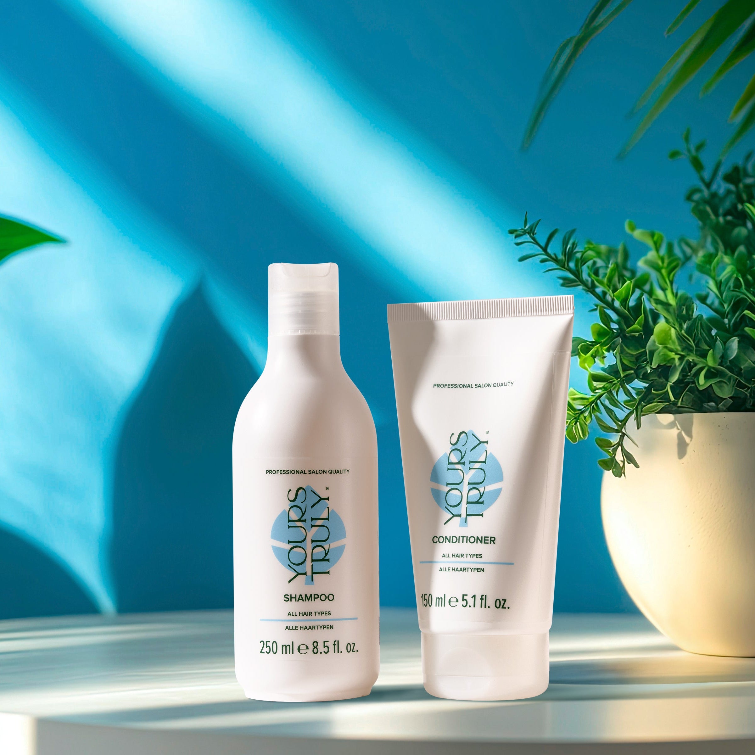 yours-truly-shampoo-und-conditioner-für-alle-haartypen-in-weißen-gebinden-auf-podest-mit-blauem-hintergrund-und-grünpflanze