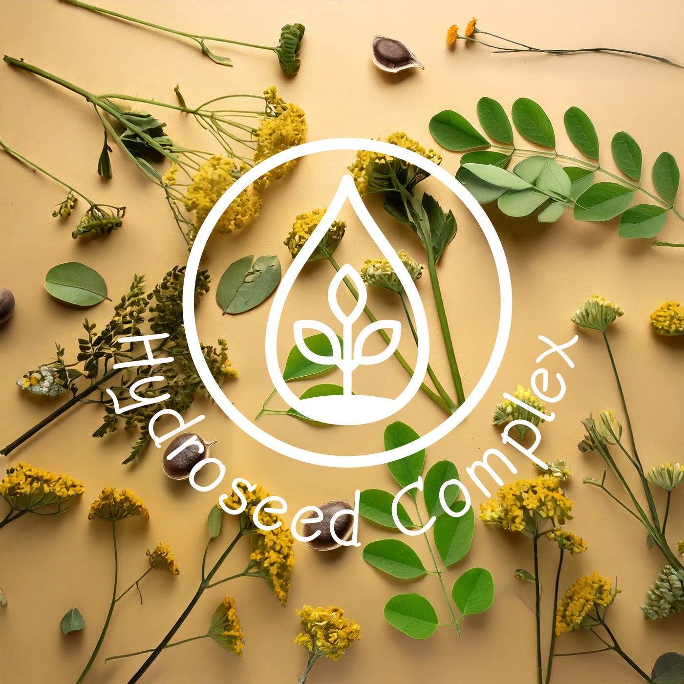 Hydroseed Complex